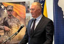 Helez o odlukama NSRS-a: Na sličan način je Hitler pripremao spajanje Austrije Njemačkoj