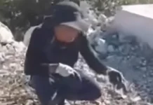 HERCEGOVINA ZGROŽENA: KINEZ U BILEĆI PEČE PSA? (video)