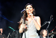CECA U TREBINJU: Deset dana do spektakularnog koncerta, traži se karta više