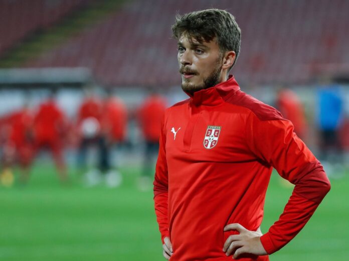 1174005_adem-ljajic_orig
