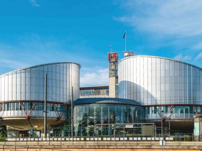 20251105220343_604989