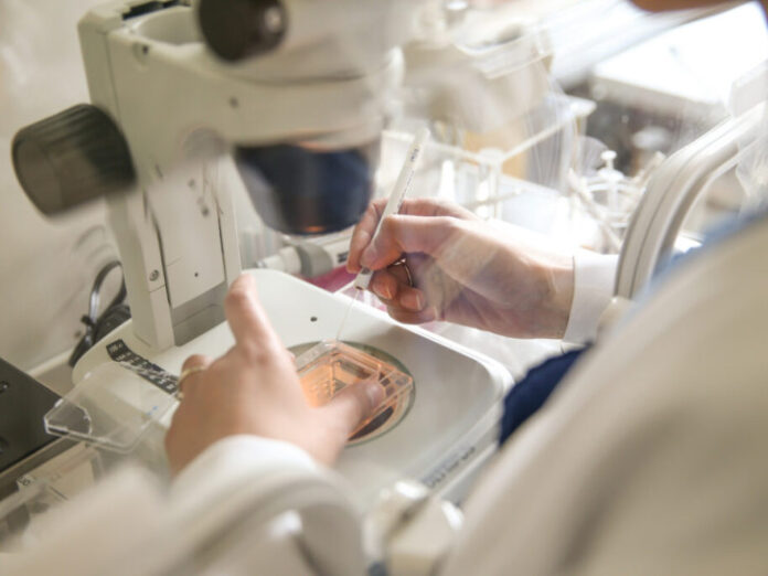 20251112134715_606164