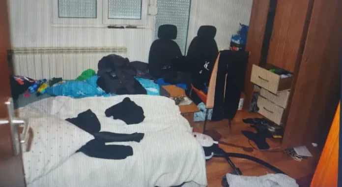 hapsenja pornografija