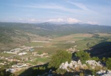 Ljubinje odumire, kako zaustaviti propadanje