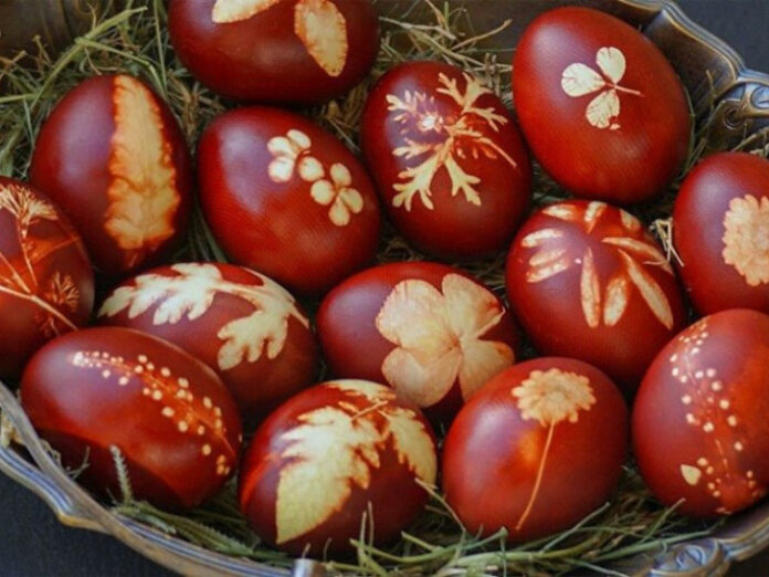 20250417212636_575404