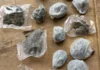 Policija HNK pretresala kuću,pronađena veća količina droge