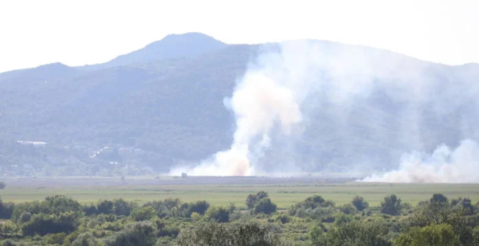 pozar-capljina-gabela