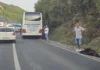 Autobus udario medvjeda kod Travnika