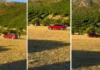 Hapšenje zbog pokušaja ubistva na konjičkim trkama, traga se za Željkom Vujovićem (VIDEO)